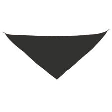 Pañoleta triangular &quot;fermín&quot; - GS865