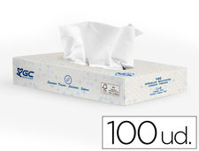 Pañuelo tissu 2 capas 21X20.7 cm caja de 100 unidades