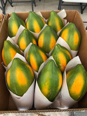 papaya orgánica