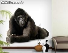 Papier peint photo avec colle: gorilla watch
