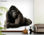 Papier peint photo avec colle: gorilla watch - 1