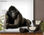 Papier peint photo avec colle: gorilla watch - Photo 2