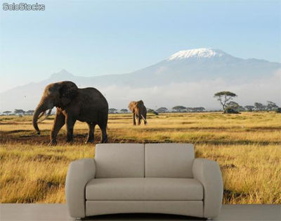 Papier peint photo avec colle: kilimanjaro elephants