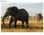 Papier peint photo avec colle: kilimanjaro elephants - Photo 3