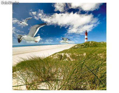 Papier peint photo avec colle: lighthouse in dunes - Photo 4