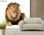 Papier peint photo avec colle: lion king - Photo 2
