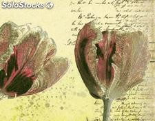 Papier peint photo avec colle: spring tulips