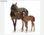 Papier peint photo avec colle: trakehner horses - 1
