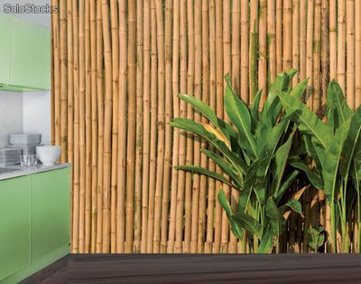 Papier peint photo avec colle: wall of bamboo