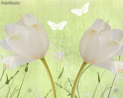 Papier peint photo avec colle: white tulip field