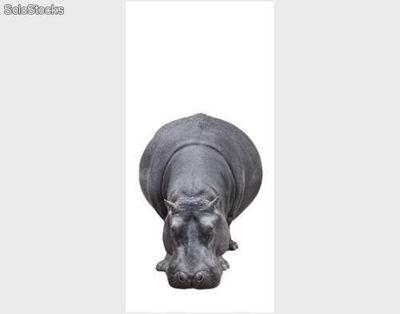 Papier peint pour porte avec colle: big hippo