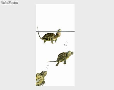Papier peint pour porte avec colle: diving turtles