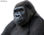 Papier peint pour porte avec colle: gorilla thought - Photo 2