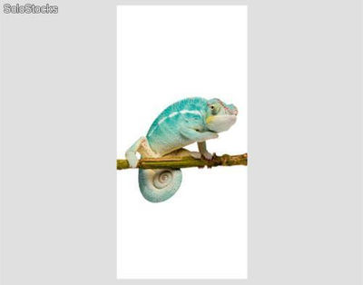 Papier peint pour porte avec colle: hello chameleon