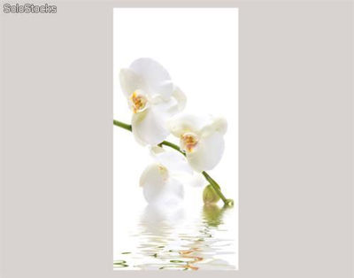 Papier peint pour porte avec colle: orchid waters