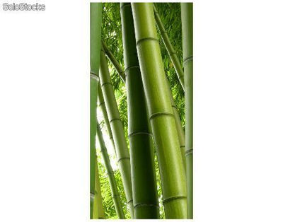 Papier peint pour porte avec colle: paradise of bamboo