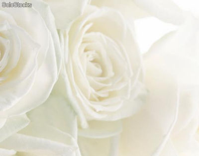 Papier peint pour porte avec colle: wedding roses - Photo 2