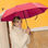 Paraguas plegable de alta calidad de 8 paneles - 1