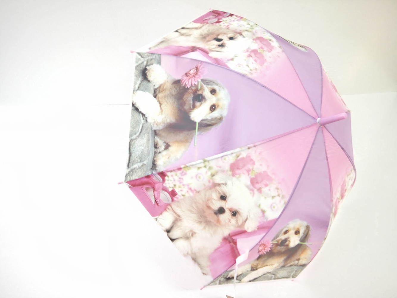 Paraguas rosa con perros en 3D