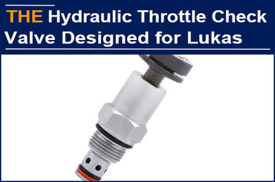 Parallel hydraulic check valve and hydraulic throttle valve, AAK innovative desi