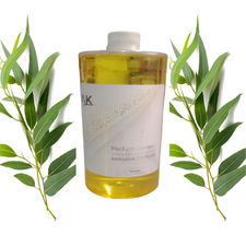 Parfum d&#39;ambiance eucalyptus 1L