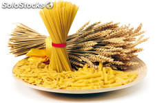 pasta italiana economica lunga/corta