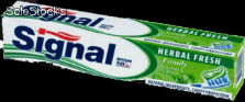 Pasty do zębów Signal Herbal Fresh 75 Ml