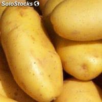 patatas frescas para la venta