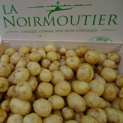 Patatas La Bonnotte