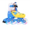 Patines rueda 04