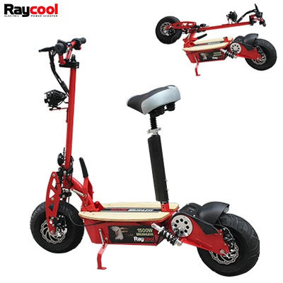 Patinete Raycool Brushless 1500W ( Reserva)