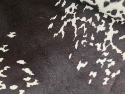 Pelle cavallino effetto Mucca per artigianato - Foto 2