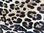 Pelle cavallino leopardato per artigianato - 1