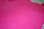 Pelli di struzzo sud africa della migliore qualita&amp;#39;, in vari colori - Foto 5