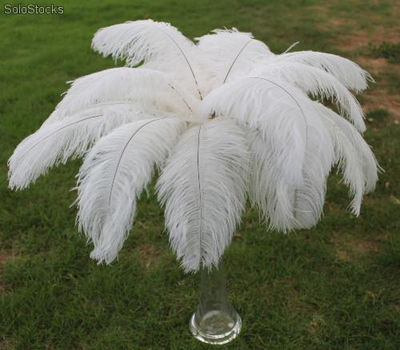 Penas de avestruz para a decoração do casamento