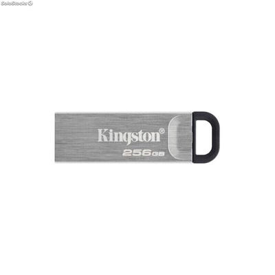 Pendrive Kingston dtkn/256GB usb 3.2 Srebrzysty Czarny 256 GB
