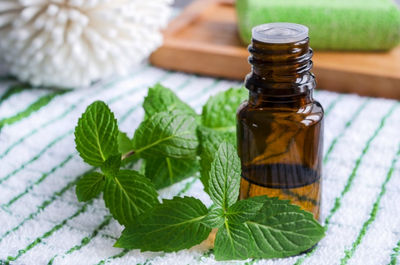 Peppermint Essential Oil - Photo 2