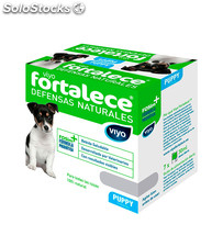 Per stomacho e intestino Viyo Fortalece Puppy 2-12 Months 210.00 ml