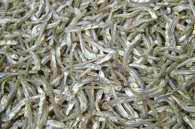Pescado de anchoa seco - Foto 2