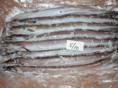 Pescado de anguila congelado - Foto 3