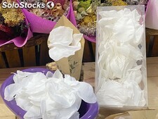 Comprar Flores Preservadas | Catálogo de Flores Preservadas en SoloStocks