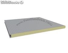 PFS5BB Panel Fachada Sectorización / Silver Metalic-Blanco / Esp: 5 cm