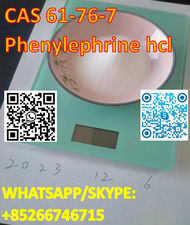 Phenylephrine Hcl CAS 61-76-7