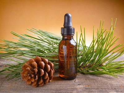 Pine Essential Oil - Photo 4