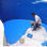 Pintura de Poliuretano para Piscinas Idroless - Foto 3