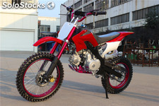 Pit bike 125CC 17/14 XL27