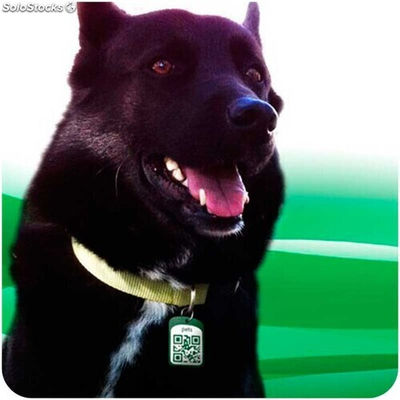 Placa de Identificación con Código QR para Mascotas - Foto 2