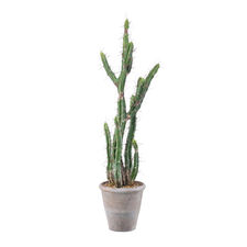 Planta artificial decorativa cactus stetsonia