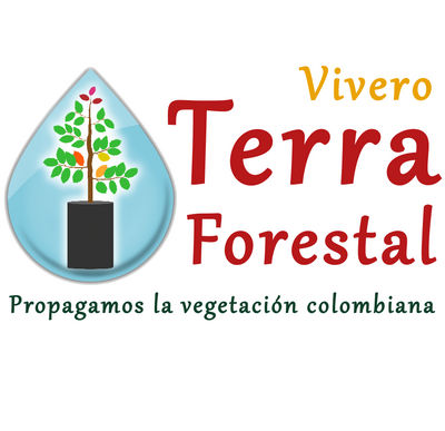 Plantulas Forestales - Foto 2