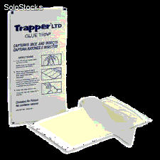 Plaque de glu pour souris Trapper ltd en carton